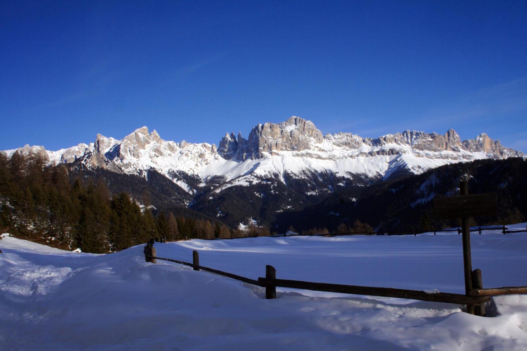 Gasthof Edelweiss Tires Exterior photo